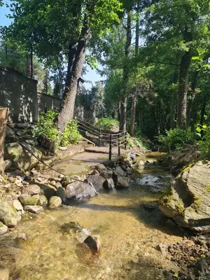 a stream with rocks and a fence and trees at Villa Janet in Dolna Banya