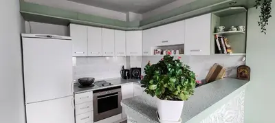 a kitchen with white cabinets and a potted plant at 5munutes from the airport & 15 from the City center in Sofia