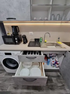 a small kitchen with a sink and a dishwasher at Apartment's Ortakchiev in Sofia